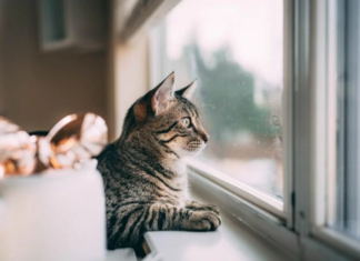 Рождественские морозы близко: в Украину несется настоящая зима, охладит до -11