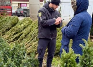 В Одессе проверяют точки продаж елок и хвойных деревьев