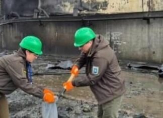 Удар по Одесщине ударил по кошелькам: после обстрела порта «Юг» обвалились цены на подсолнечник