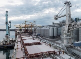 Україна не передаватиме у приватну власність стратегічні об’єкти, критично важливі для продовольчої безпеки.