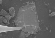 Недостающий пазл нашли в образцах астероида Бенну: ученые объявили о революционном открытии (видео)