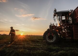 Держава та міжнародні партнери України посилюють підтримку аграріїв: У фокусі – відновлення роботи та подолання наслідків війни.