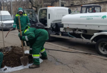 Зеленое пополнение: десятки деревьев высадили в Одессе на этой неделе, — ФОТО