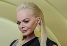 Человек-паук обманул Ларису Долину на 150 млн рублей, — росСМИ