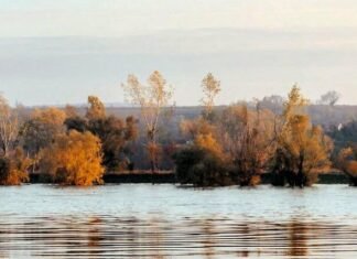 В Одесской области снизился уровень воды в Придунайских озерах: что известно