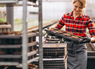 Забудьте о Польше: где украинцам готовы платить 50 тысяч евро зарплаты