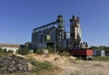На Київщині продається майже готовий борошномельний комплекс за ₴13,8 млн, а у Львові – землю під ТЦ.
