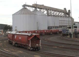 Експорт зернових залізницею у грудні продовжує зростати.