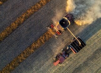 Аграрії україни зібрали понад 53 млн тонн зерна, партнери надають модульні зерносховища для зберігання врожаю.