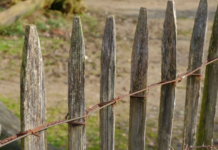 Владельцев домов в Украине могут оштрафовать на крупную сумму