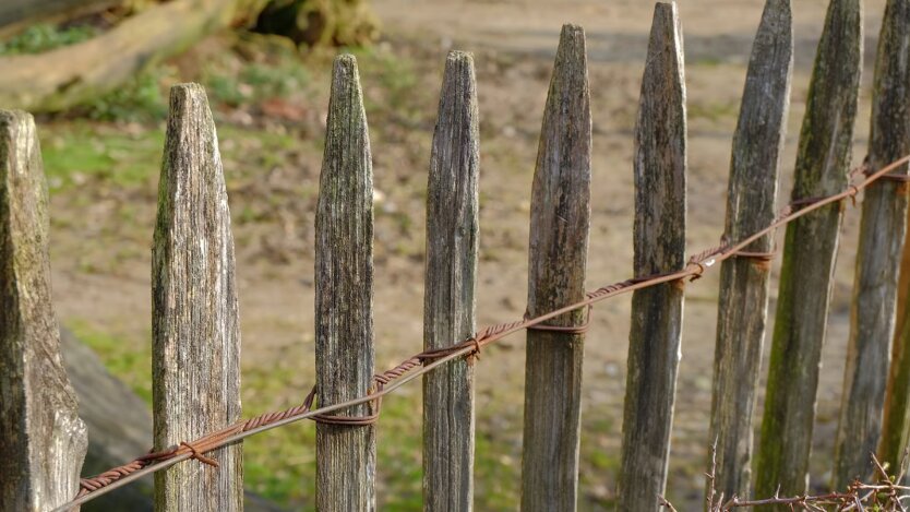 Владельцев домов в Украине могут оштрафовать на крупную сумму