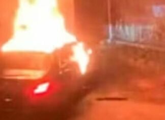 Сожгли заживо после пыток: в Одессе арестовали подозреваемых в кровавом убийстве в Австрии, — ФОТО