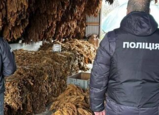 Табачная мафия: в Одессе накрыли подпольный бизнес с миллионными оборотами, — ФОТО