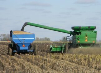 Майже половина національних виробників олії можуть зіткнутись з дефіцитом сировини через скорочення врожаю соняшнику.