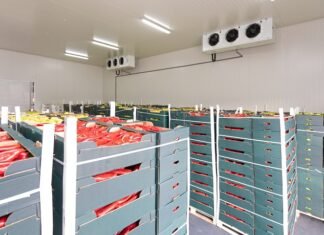 Будівництво до 120 великих овочесховищ зможе розв’язати проблему зберігання врожаю.