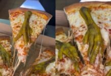 Пицца напугала посетителей: что не так с необычным блюдом из Мексики (видео)