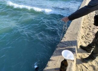 Экологи проверили побережье Одессы на наличие нефтепродуктов