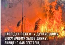 В Одесской области пожар уничтожил 645 гектаров плавневой растительности и камыша