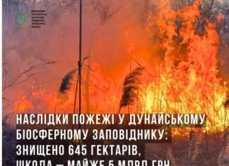 В Одесской области пожар уничтожил 645 гектаров плавневой растительности и камыша