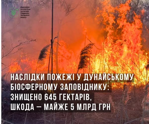 В Одесской области пожар уничтожил 645 гектаров плавневой растительности и камыша