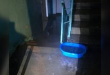 «Вода заливает целые подъезды»: в разных районах Киева фиксируют массовые прорывы труб (видео)