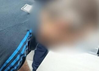 Мошенничество с дровами: житель Одесщины обманул семерых людей