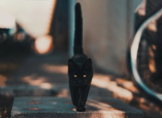 В Украину идет Азиатский антициклон: какой погоды ждать в начале недели