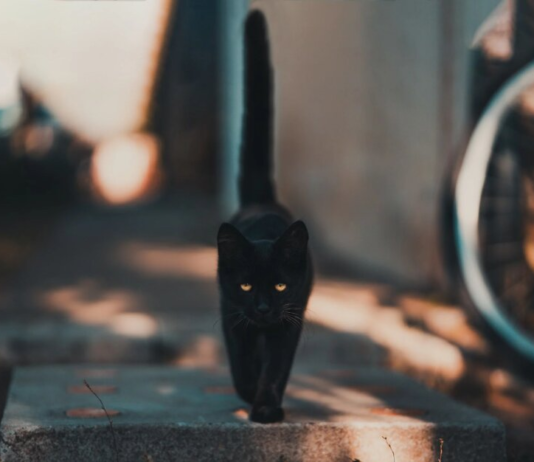 В Украину идет Азиатский антициклон: какой погоды ждать в начале недели