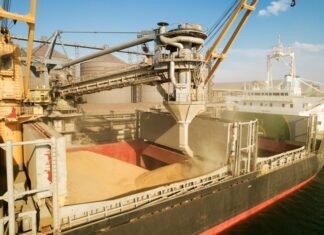 Наслідок логістичних та регуляторних змін: Виторг від експорту вітчизняної агропродукції протягом 2025 року скоротився на 8,8%.