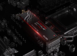 SSD WD_BLACK и WD Blue не будет: Sandisk меняет бренды на Optimus
