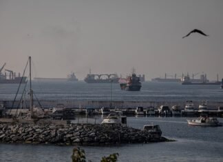 Попри російські обстріли, морські порти України у 2025 році виконали план перевалки товарів на понад 95%.