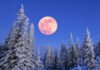 Снежная луна: когда состоится первое полнолуние февраля