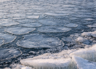 В Одессе из-за холода замерзает Черное море