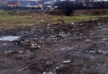 В Одесской области ликвидировали нелегальную свалку на частной земле, — ФОТО