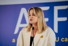 Как НАТО привлечено к мирным переговорам по Украине: глава миссии дала ответ