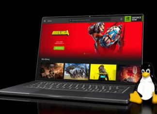 Облачный гейминг идет на Linux: бета NVIDIA GeForce NOW вышла для Ubuntu 24.04 и SteamOS