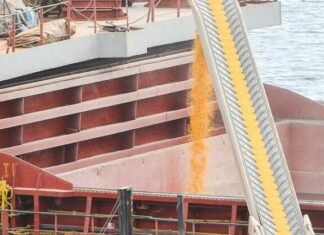 Порты Одесщины «тянут» экономику: Украина перевалила более 82 млн тонн грузов в 2025 году, — ФОТО