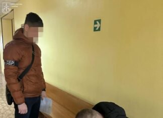 Коррупция в Одесской области: экс-чиновника лесхоза взяли под стражу