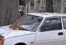 Оставленные авто в Одессе: в Киевском районе нашли 14 машин