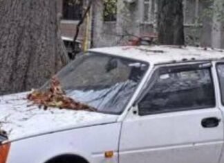 Оставленные авто в Одессе: в Киевском районе нашли 14 машин