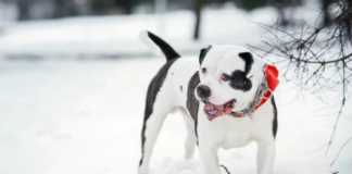 Ледяная ловушка и шквальный ветер: синоптики дали тревожный прогноз погоды
