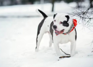 Ледяная ловушка и шквальный ветер: синоптики дали тревожный прогноз погоды