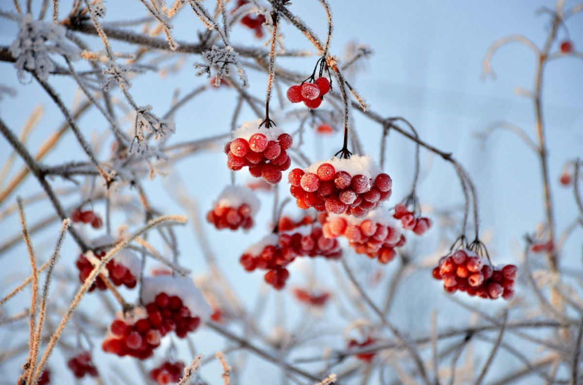 Самые холодные дни за последние годы: синоптик рассказал, какой будет погода в первые дни февраля