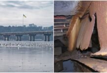 Перекрытие моста Патона: технически оптимально, но политически нереально