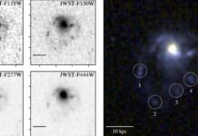 Обнаружена самая далекая «космическая медуза»: в космосе произошло нечто неожиданное (фото)