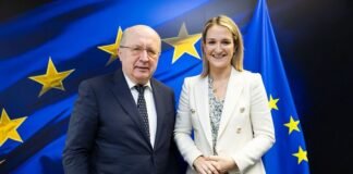 Ірландія сприятиме процесу євроінтеграції України під час головування в ЄС, Київ просить назвати конкретну дату вступу.