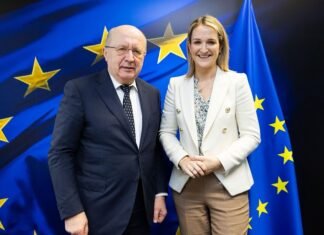 Ірландія сприятиме процесу євроінтеграції України під час головування в ЄС, Київ просить назвати конкретну дату вступу.