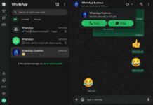 Альтернатива Zoom и Google Meet: WhatsApp начал принимать видеозвонки в веб-версии