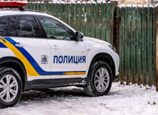 Недоедает или просто старый: полиция проверила жалобу на содержание собаки в Одесской области