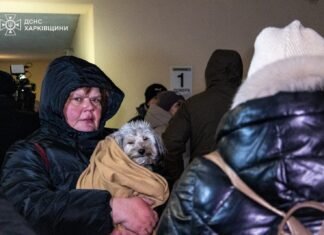 Украинцы связали деятельность ТЦК и нехватку демократии: детали